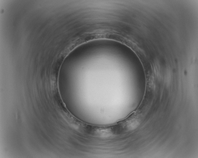 X0000078830283200611201256