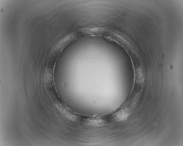 X0000078830284200611201256