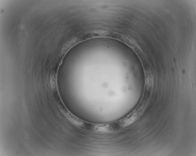 X0000078830285200611201256