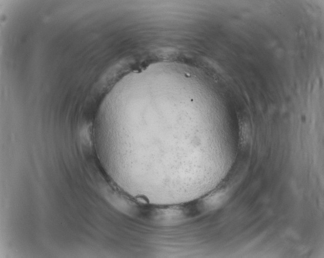 X0000078830286200611201256