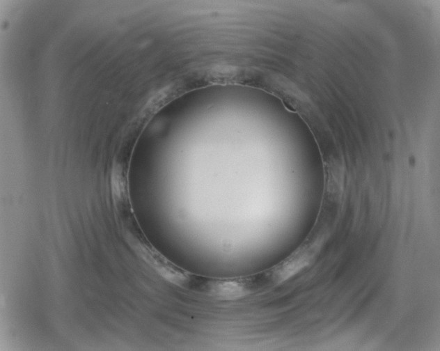 X0000078830287200611201256