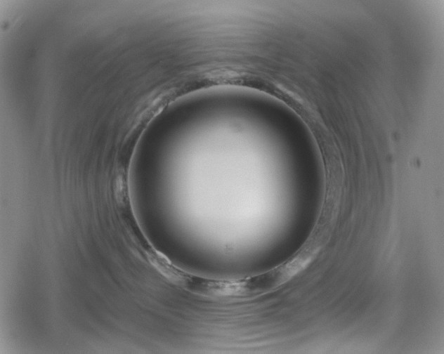 X0000078830288200611201256