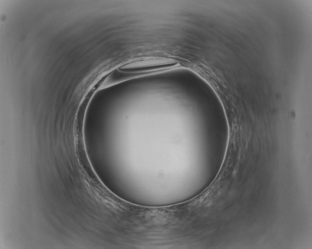 X0000078830290200611201255