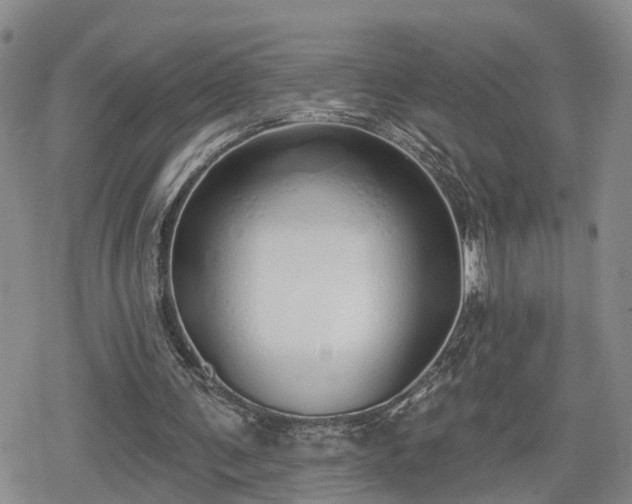 X0000078830291200611201255