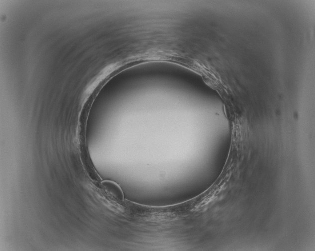 X0000078830292200611201255