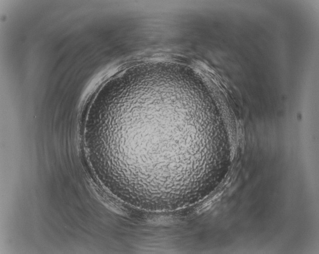 X0000078830293200611201255