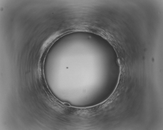 X0000078830294200611201255