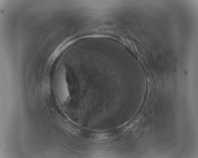 X0000078830295200611201255