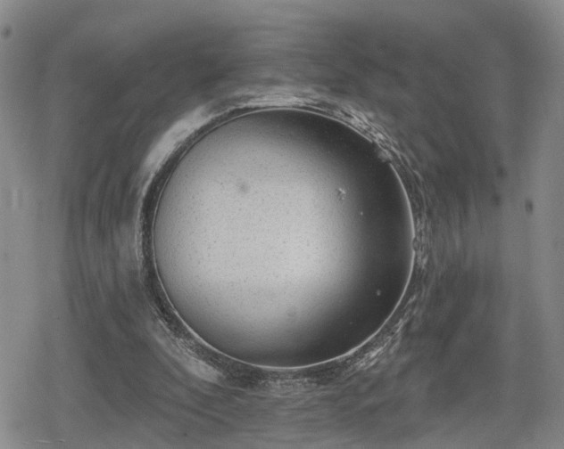 X0000078830296200611201255