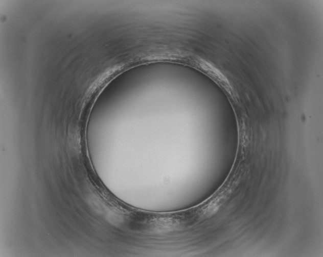 X0000078830298200611201255