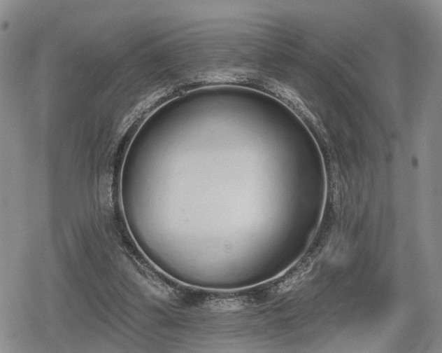 X0000078830299200611201255