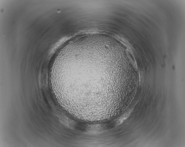 X0000078830301200611201255