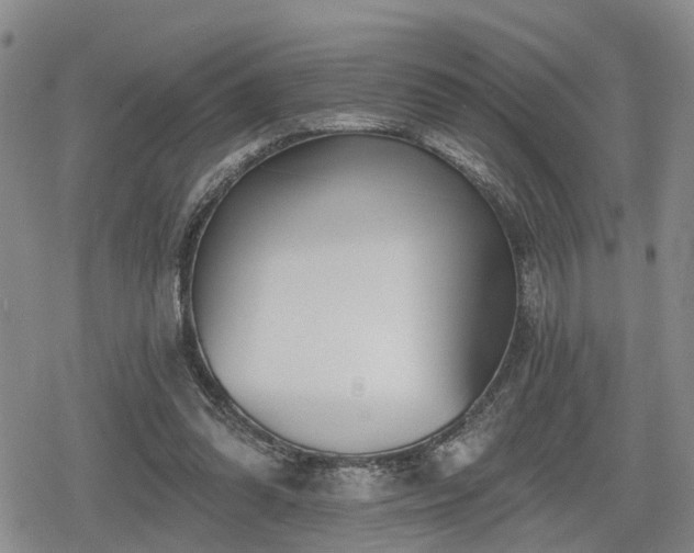 X0000078830302200611201255