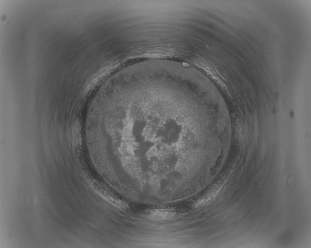 X0000078830303200611201255