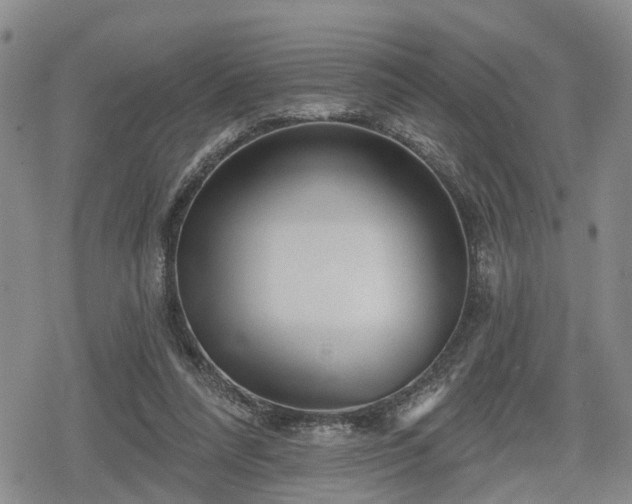 X0000078830304200611201255