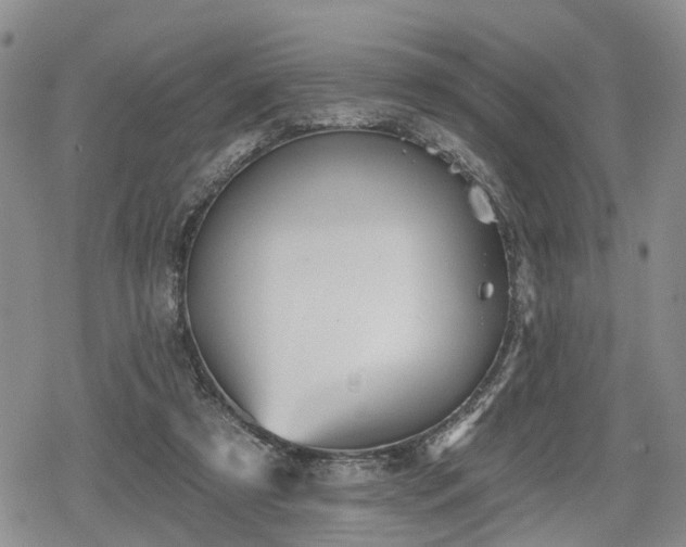 X0000078830305200611201255