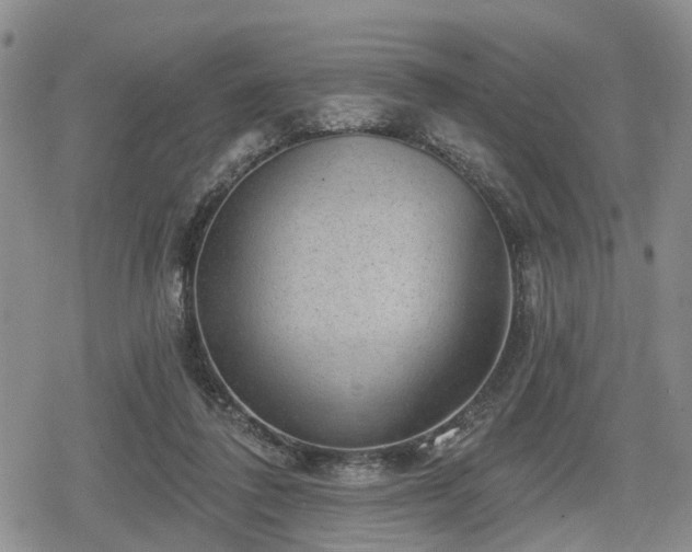 X0000078830308200611201255