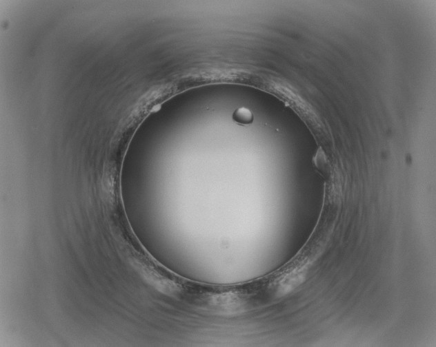 X0000078830309200611201255