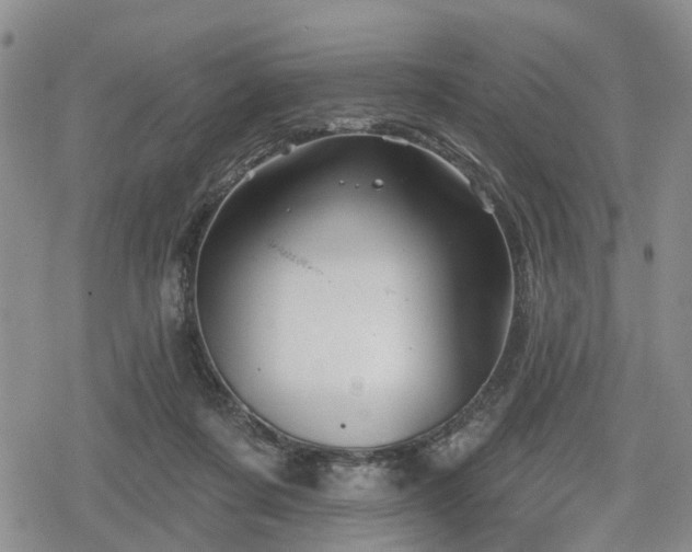 X0000078830311200611201254