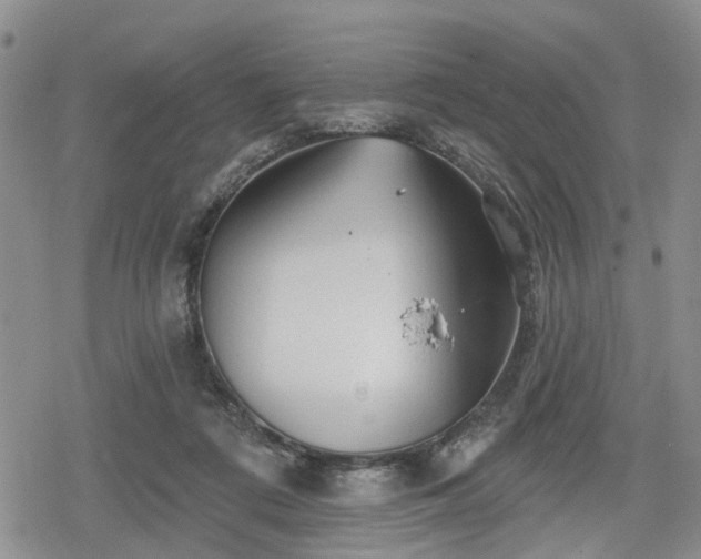 X0000078830312200611201254