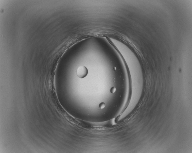 X0000078830313200611201254