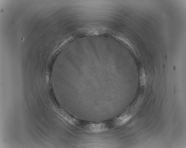 X0000078830314200611201254