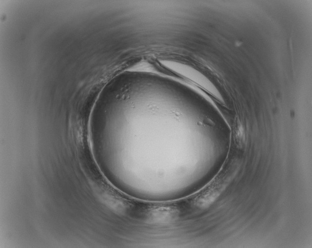 X0000078830315200611201254