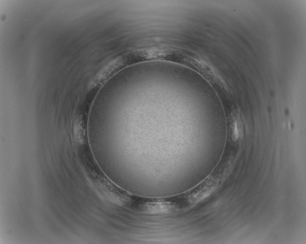 X0000078830316200611201254