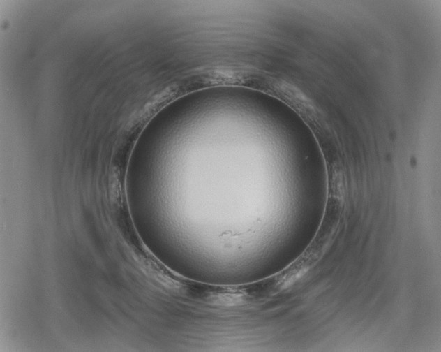 X0000078830318200611201254