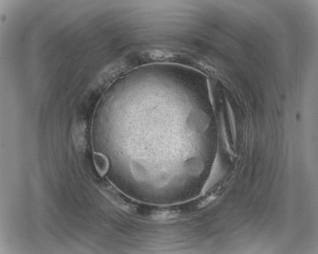 X0000078830319200611201254