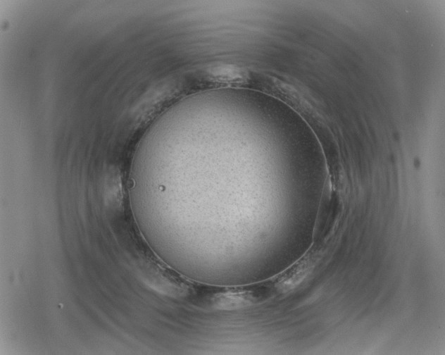 X0000078830320200611201254