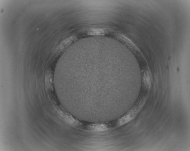 X0000078830322200611201254