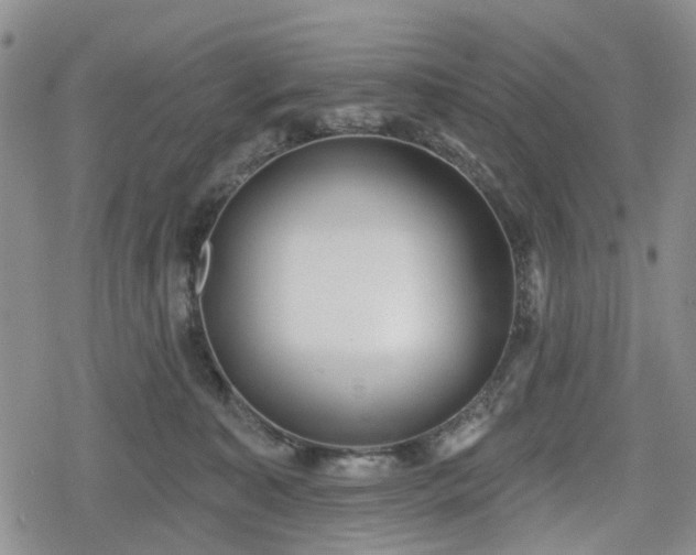 X0000078830323200611201254