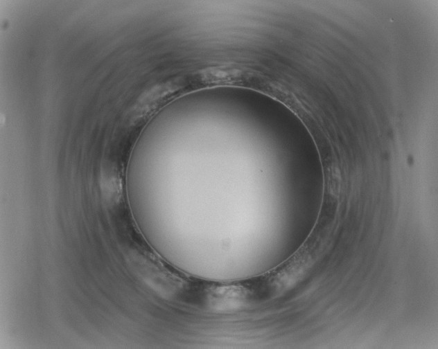 X0000078830324200611201254