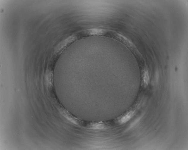 X0000078830325200611201254