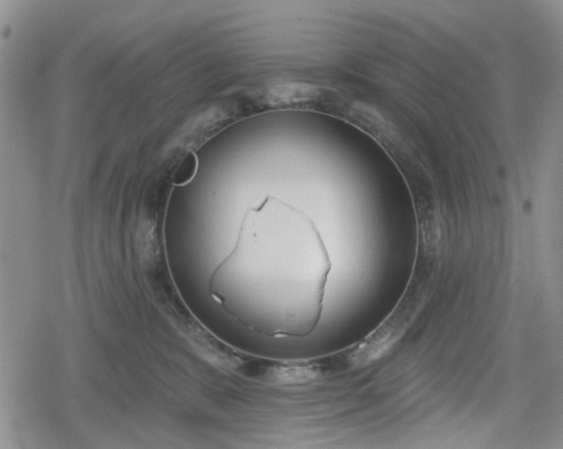 X0000078830327200611201254