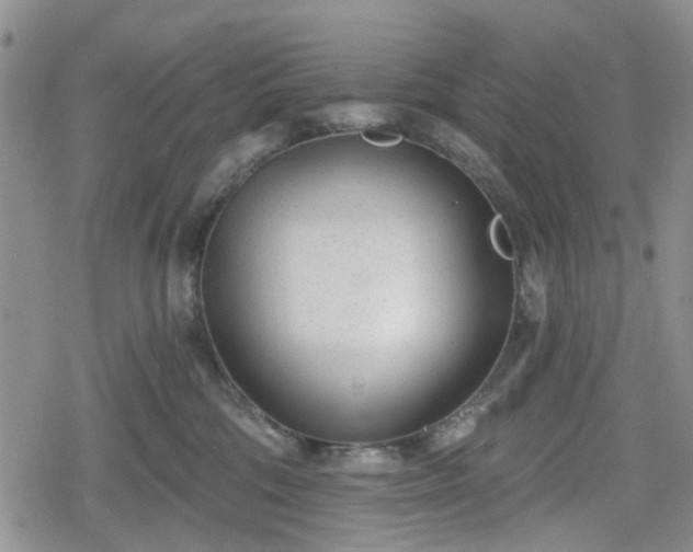 X0000078830330200611201254