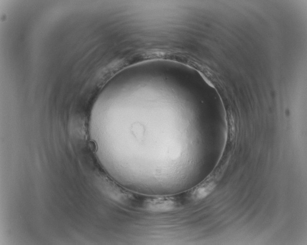 X0000078830331200611201254