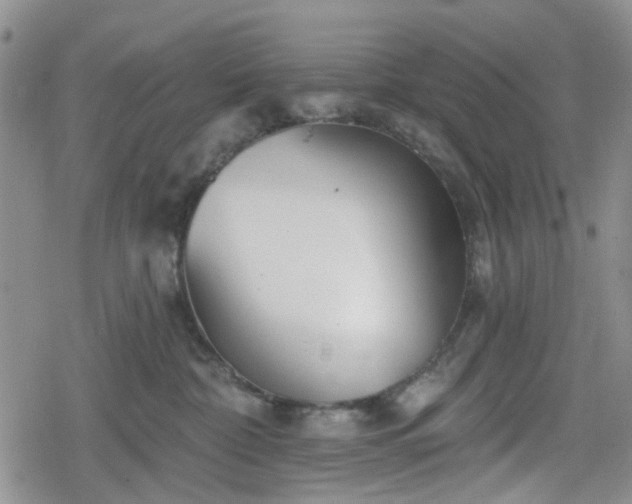 X0000078830332200611201254