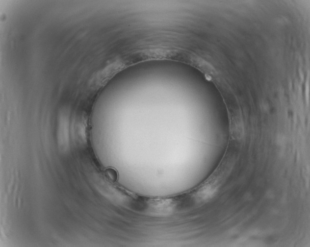 X0000078830334200611201254