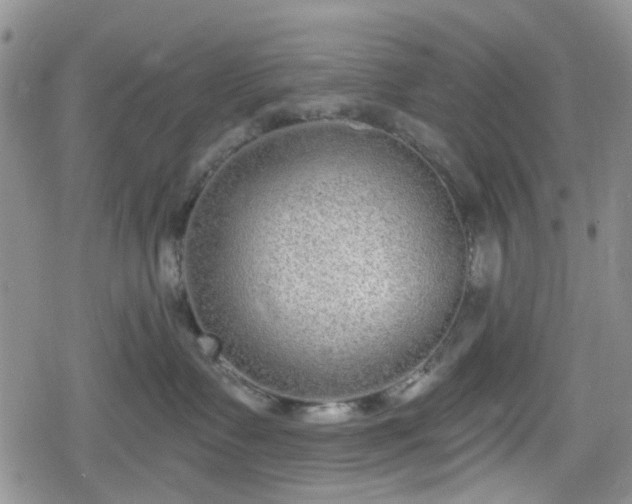 X0000078830335200611201254