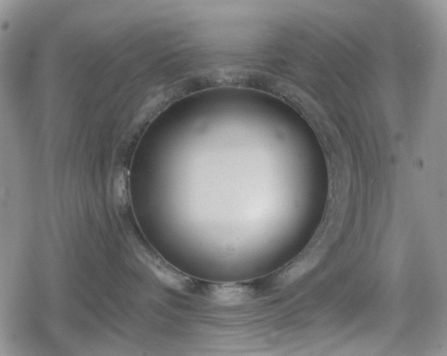 X0000078830336200611201254