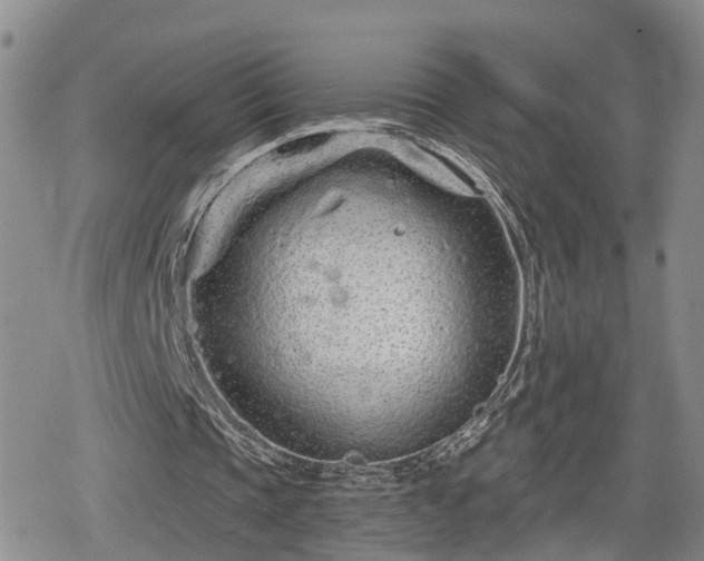 X0000078830337200611201253