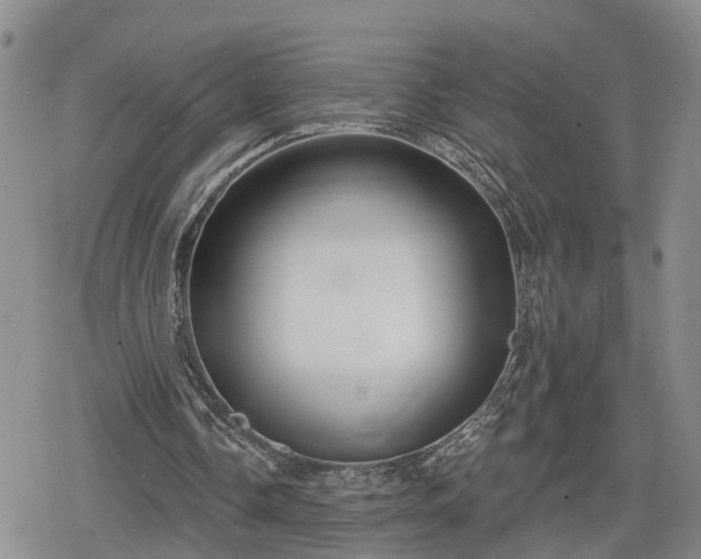 X0000078830338200611201253