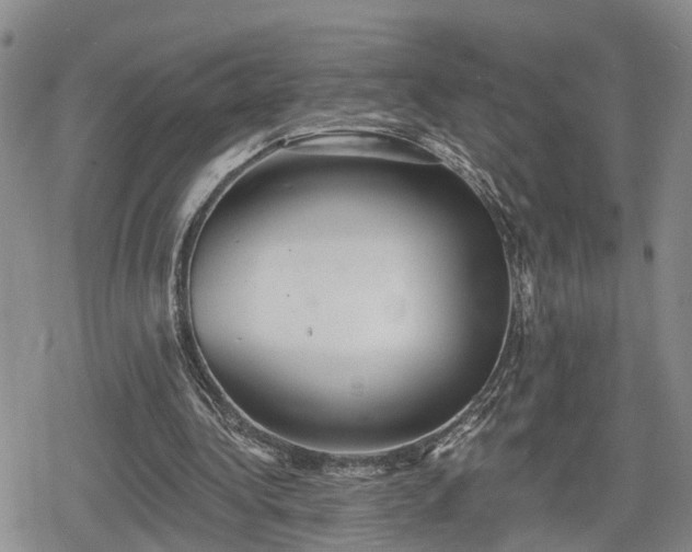 X0000078830340200611201253