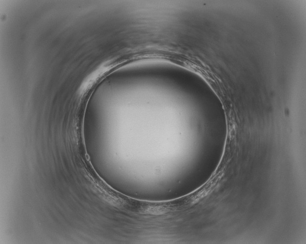 X0000078830341200611201253