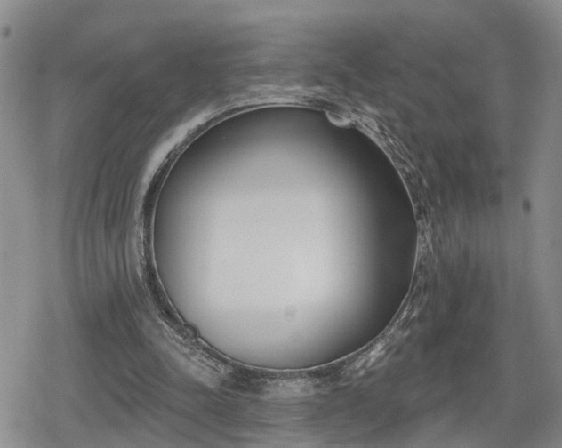 X0000078830342200611201253