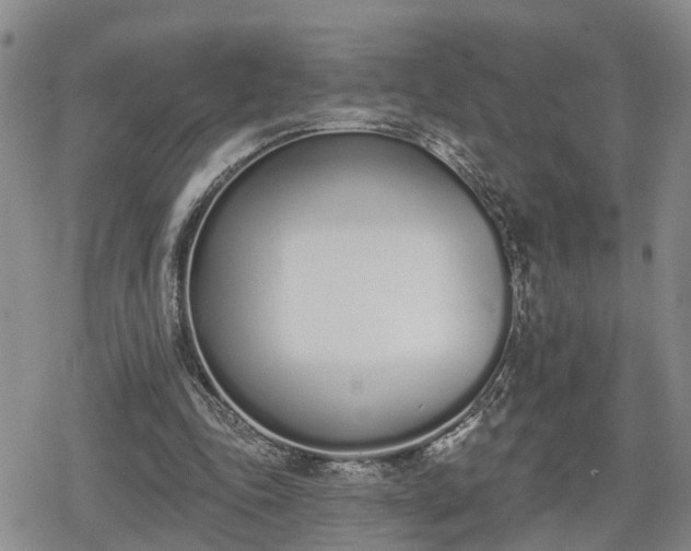 X0000078830343200611201253