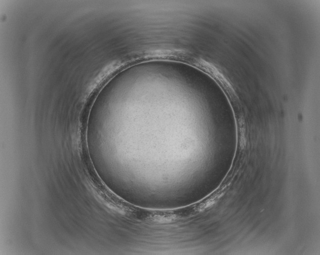X0000078830346200611201253