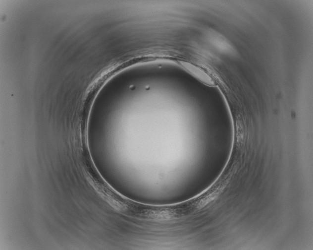 X0000078830349200611201253